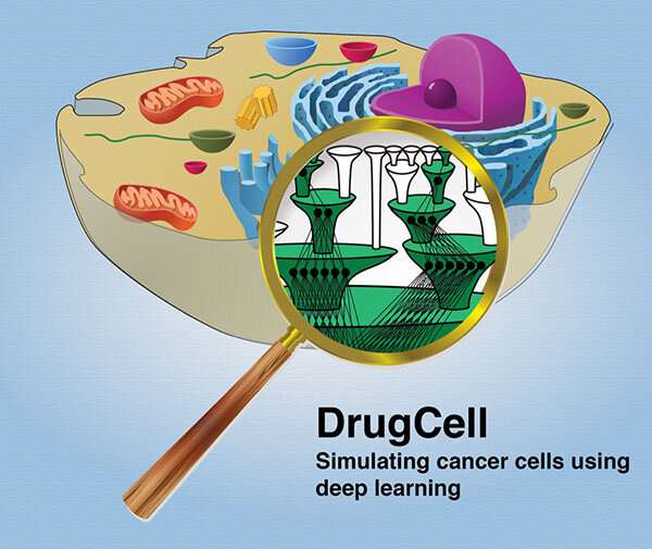 DrugCell: new experimental AI platform matches tumor to best drug combo
