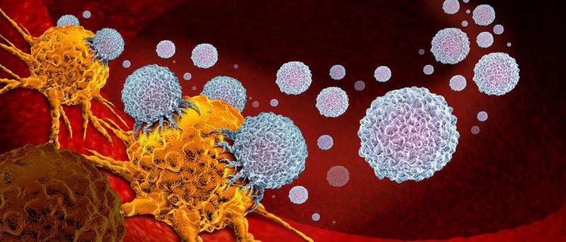Drug profiling and gene scissors open new avenues in immunotherapy