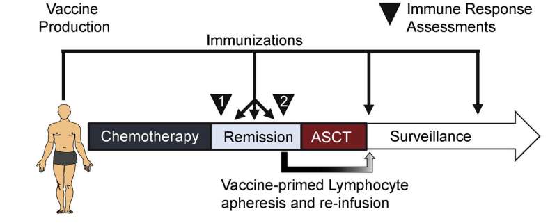 Early clinical trial supports tumor cell-based vaccine for mantle cell lymphoma