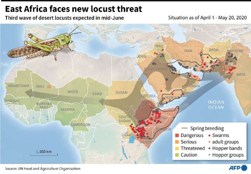 East Africa faces new locust threat