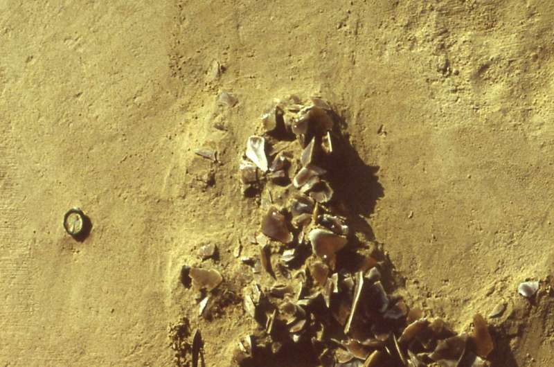 Eating out was a very social matter for early humans