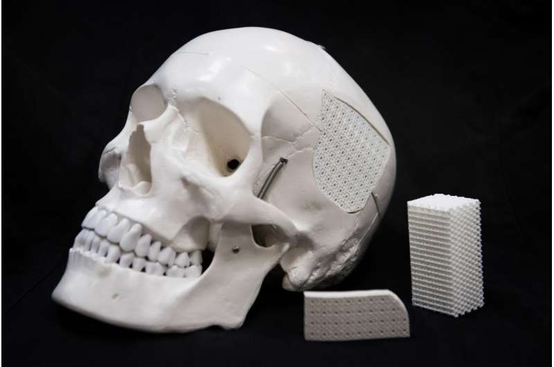 Eggshell-based surgical material for skull injuries