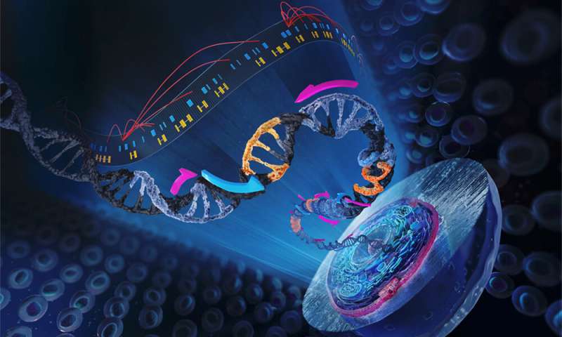 Enabling functional genomics studies in individual cells