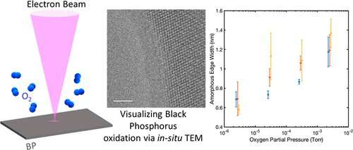 Engineers advance insights on black phosphorus as a material for future ultra-low power flexible electronics