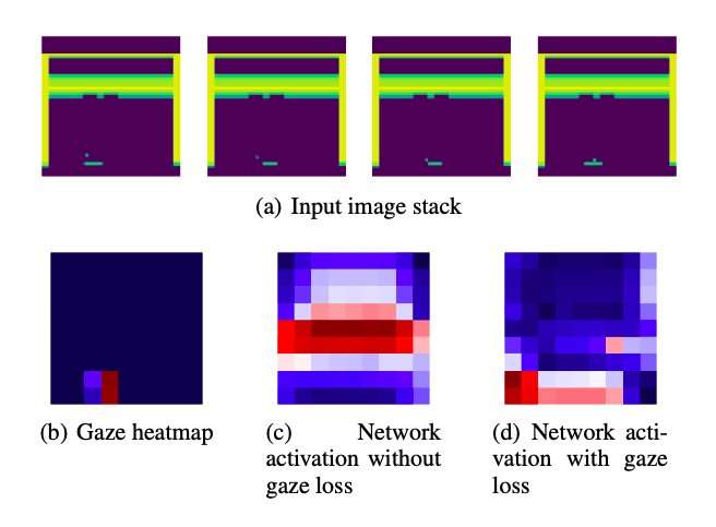 Enhancing imitation learning algorithms using human gaze data