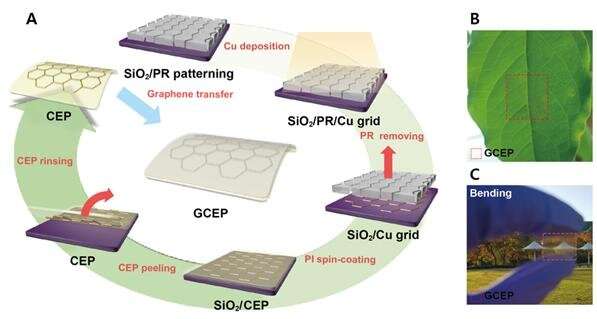 Enhancing the performance of PSCs with ‘graphene armor’