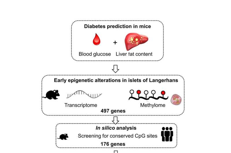 Epigenetic changes precede onset of diabetes