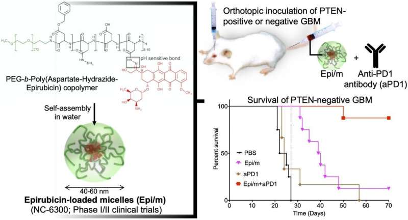 Epirubicin-loaded nanomedicines beat immune checkpoint blockade resistance in glioblastoma