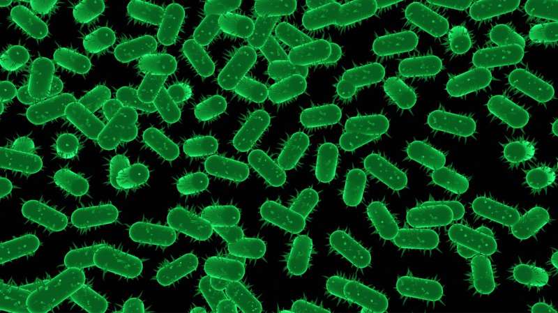 Exploiting a chink in the armor of bacteria could result in new drug therapies