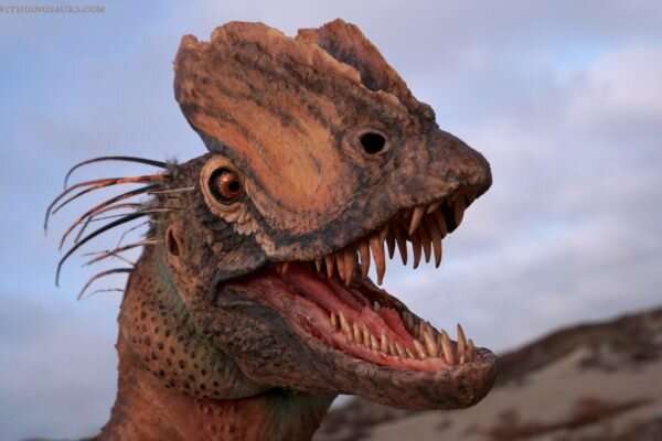 Famous ‘Jurassic Park’ Dinosaur is Less Lizard, More Bird