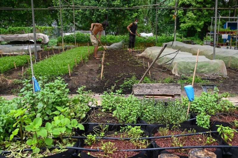 Farming gardens have been created in unusual places, including a former prison