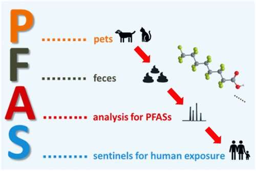 Fecal excretion of PFAS by pets