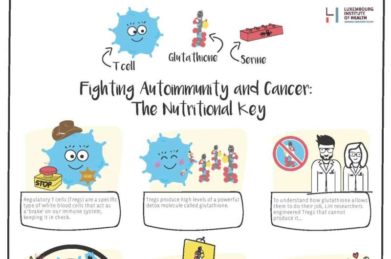 Fighting autoimmunity and cancer: The nutritional key