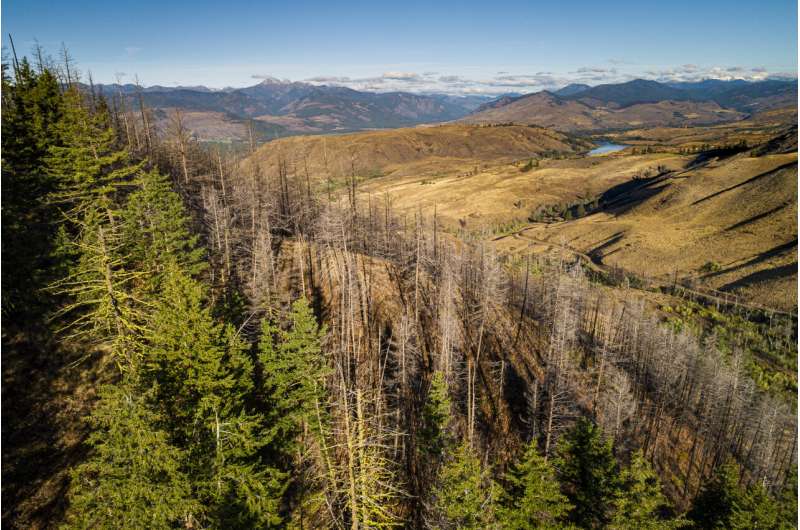 Fighting fire with fire in the Methow Valley