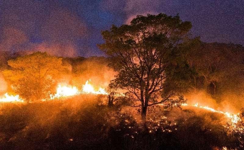 Fire raging in the Pantanal wetlands, Mato Grosso State, Brazil, on August 28, 2020, in a handout image picture released by Proj