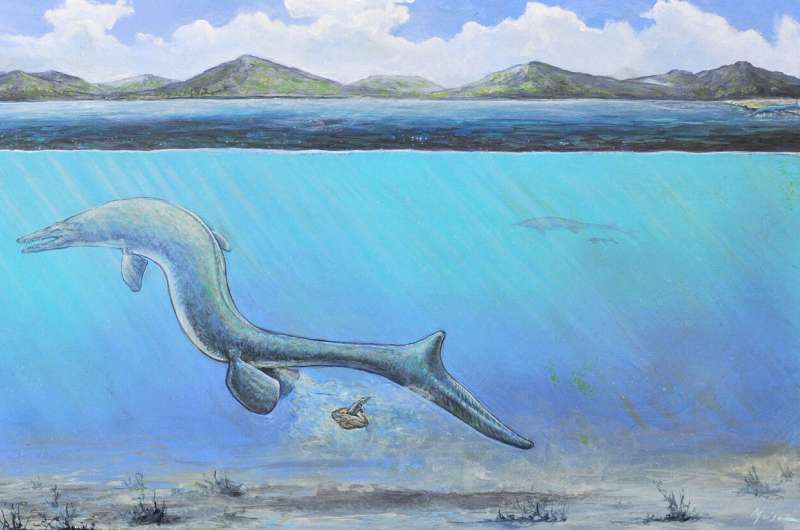 First egg from Antarctica is big and might belong to an extinct sea lizard
