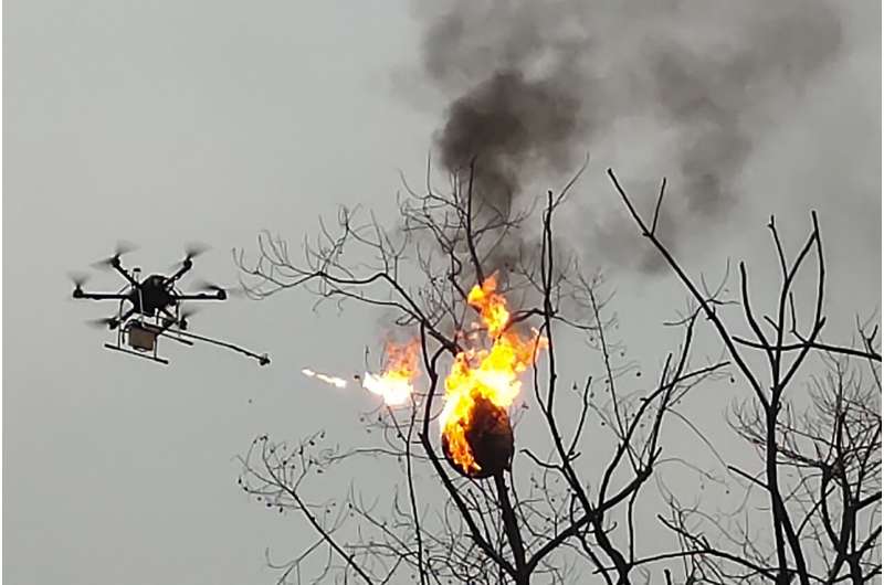 Flamethrower drone incinerates wasp nests in China