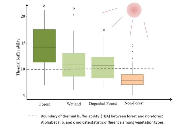 Forests have higher thermal buffer ability than non-forests