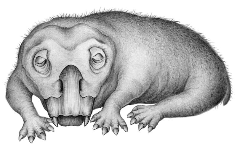 Fossil evidence of 'hibernation-like' state in 250-million-year-old Antarctic animal