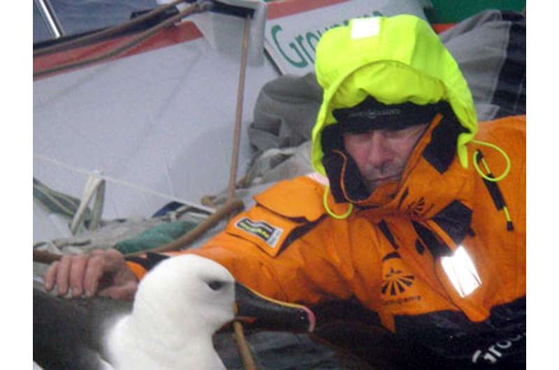 French sailor Franck Profitt strokes an albatross which landed for a few minutes on the maxi-trimaran &quot;Groupama 3&quot;