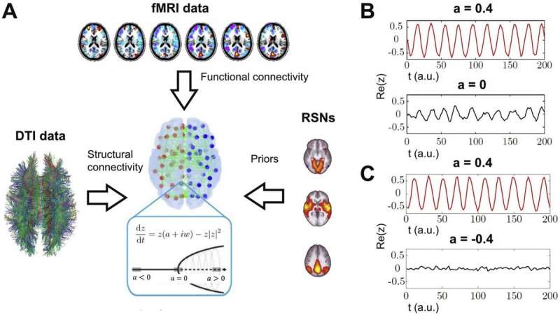 Functional in silico dissection of the brain during the natural wake-sleep cycle