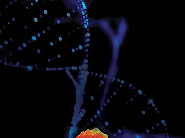Gene expression pattern pinpoints high-risk colorectal cancer
