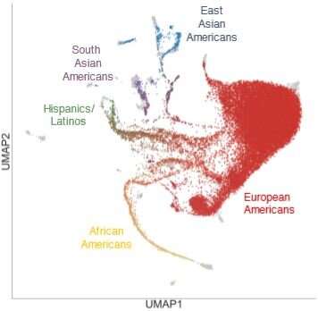 Genetic study offers comprehensive and diverse view of recent US population history