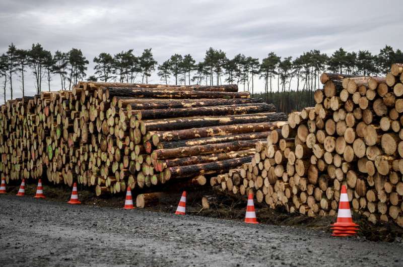 German court says Tesla can fell trees at site of new plant