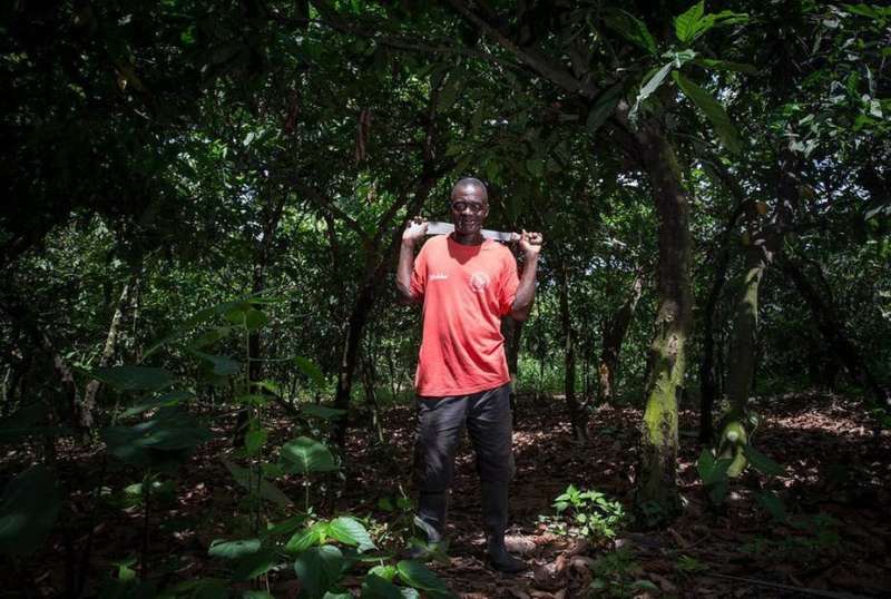Ghana's cocoa production relies on the environment, which needs better protection