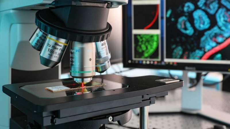 Glass slides that stand to revolutionize fluorescence microscopy