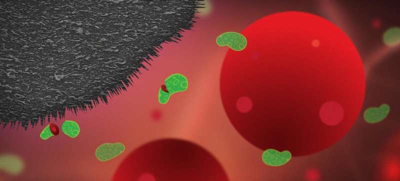 Graphite nanoplatelets on medical devices kill bacteria and prevent infections