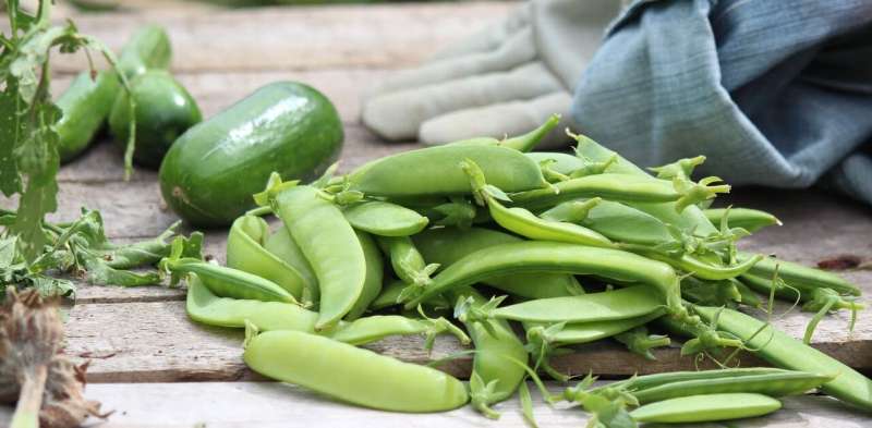 Great time to try: starting a vegetable garden