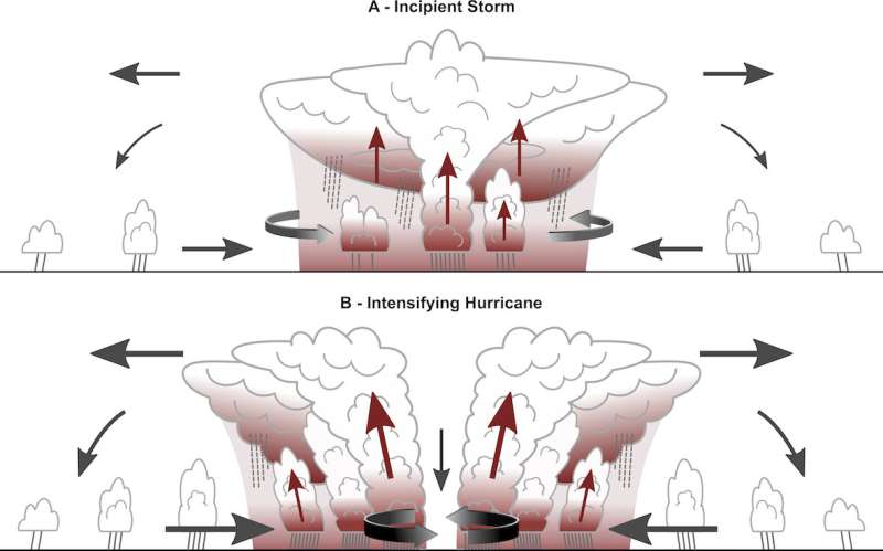 Greenhouse effect of clouds instrumental in origin of tropical storms