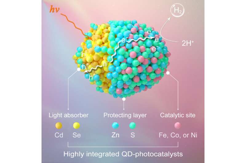 'Growing' active sites on quantum dots for robust H2 photogeneration