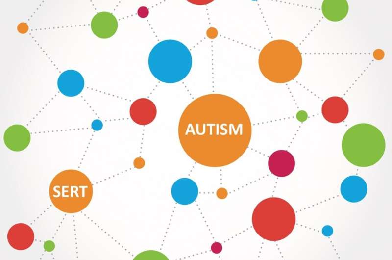 Guilt by dissociation: Study sheds light on serotonin in autism