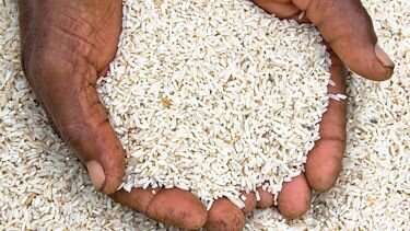 Half of UK rice breaches limits on arsenic for children, warn scientists