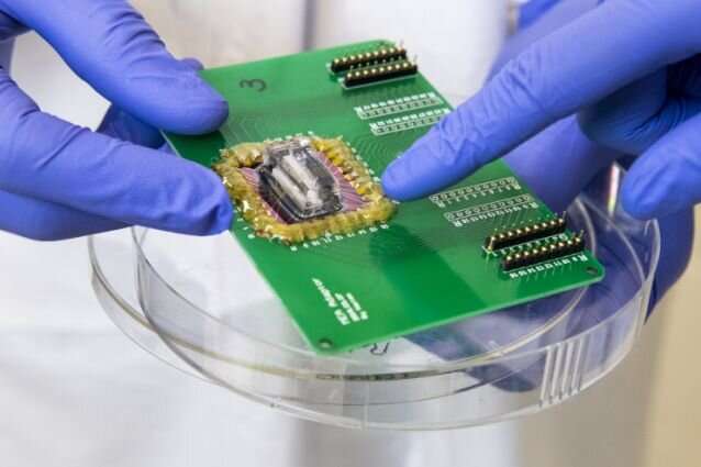 Heart attack on a chip: Scientists model conditions of ischemia on a microfluidic device
