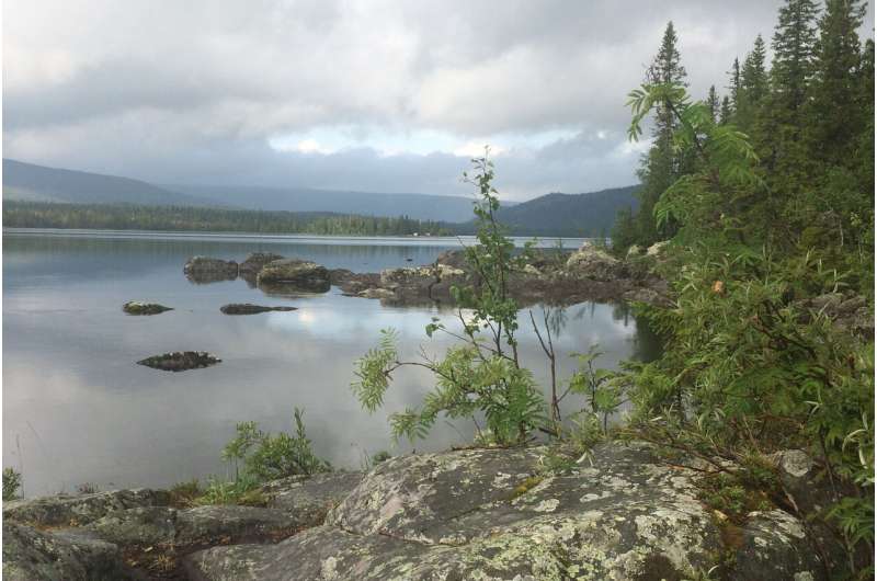 Higher day-time methane emissions from northern lakes