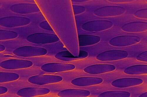 House cleaning on the nanoscale
