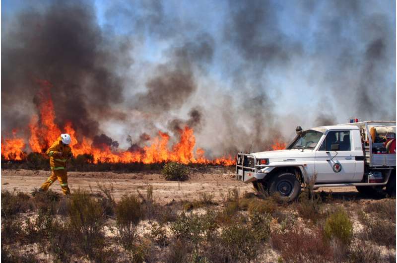 How best to burn the bush to reduce bushfire risk