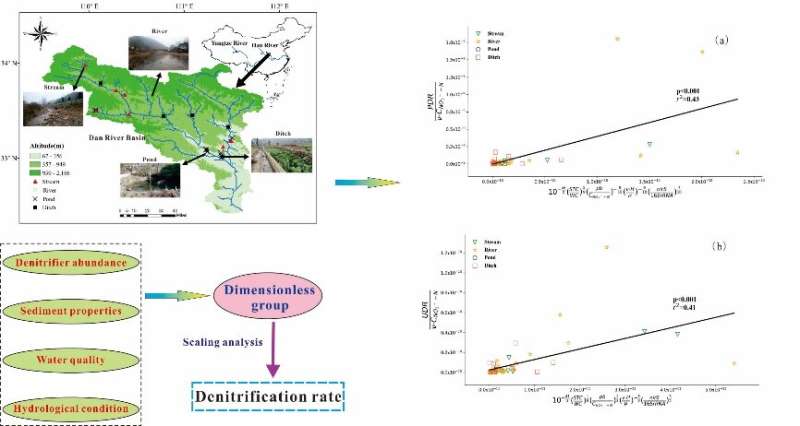 How biotic and abiotic factors regulate the sediment denitrification rate among wetland types