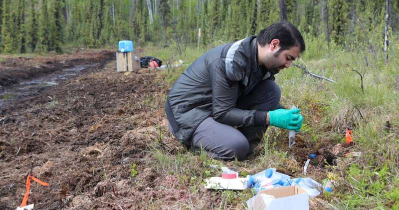How changes in ancient soil microbes could predict the future of the Arctic