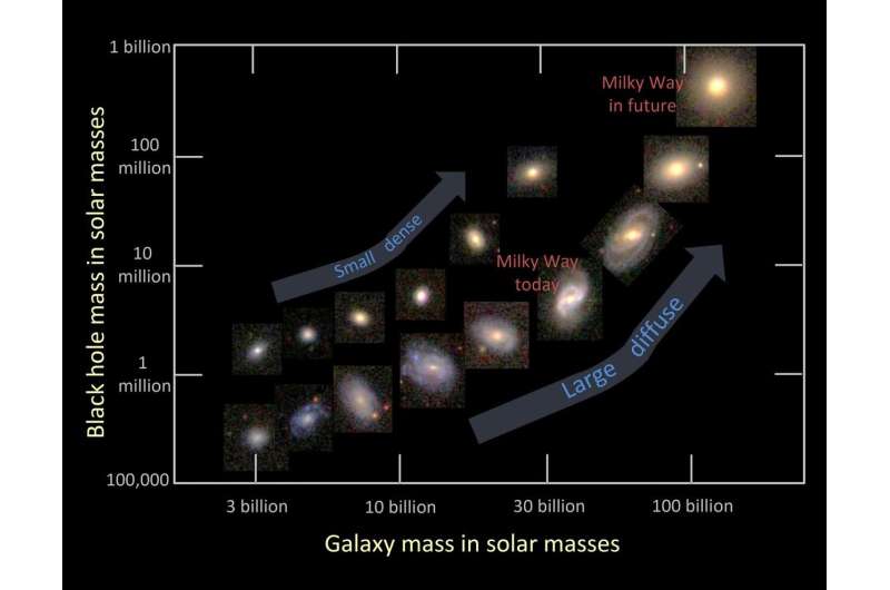 How galaxies die: New insights into the quenching of star formation