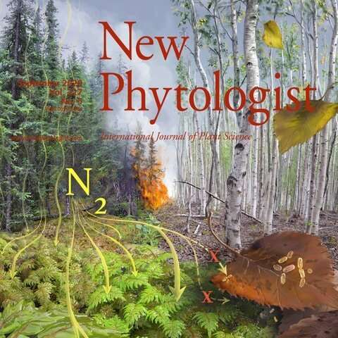 How mosses and climate are shaping the fate of nitrogen in the boreal