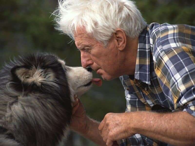 How pets can be true lifesavers for seniors