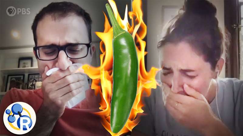 How to beat spicy pepper heat (hint: milk isn't the best) (video)