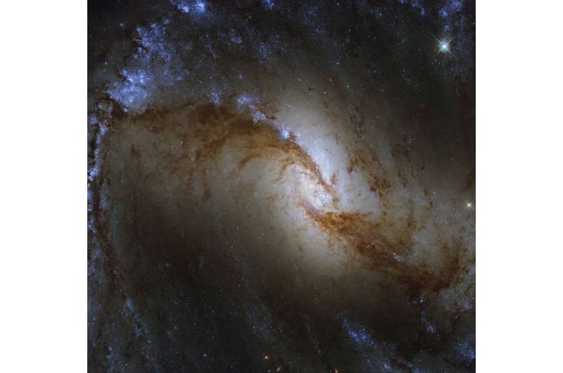 Hubble sees swirls of forming stars
