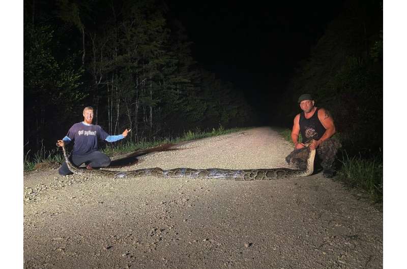 Hunters Kevin Pavlidis (L) and Ryan Ausburn (R) pose with their record-breaking 18-foot, 8.8-inch (5.7-meter) python on October 