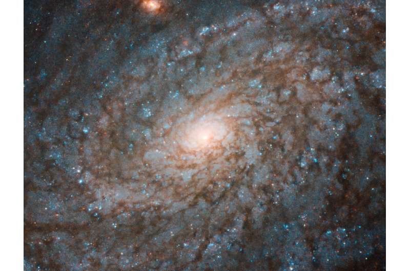 Image: Hubble gazes at fluffy-looking galaxy