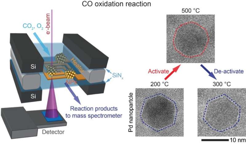 Imaging structural changes in catalysts during reaction conditions